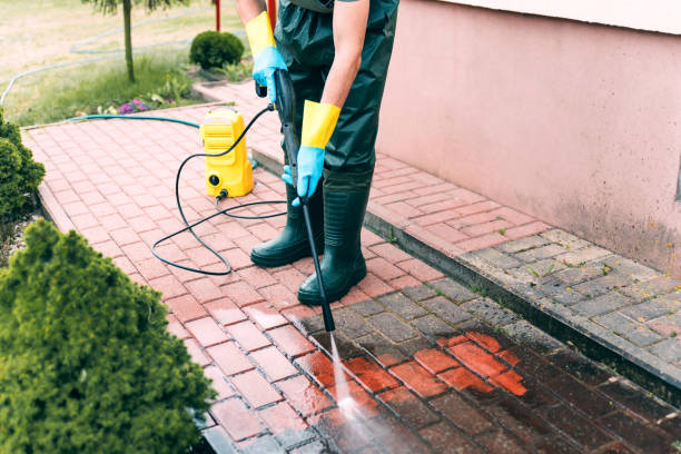 Best Exterior Home Cleaning  in Wood Dale, IL