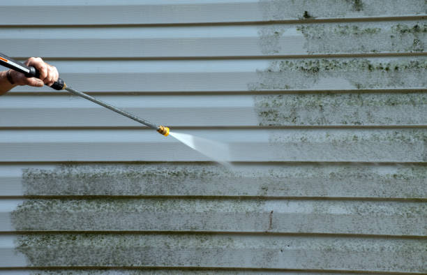 Best Roof Power Washing Services  in Wood Dale, IL