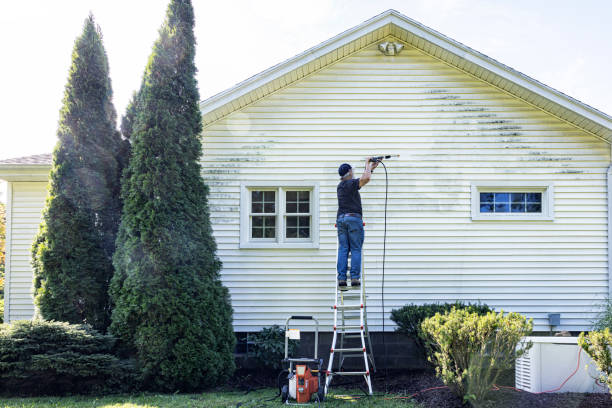 Best Deck Cleaning Services  in Wood Dale, IL