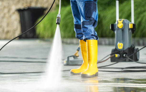 Best House Pressure Washing  in Wood Dale, IL