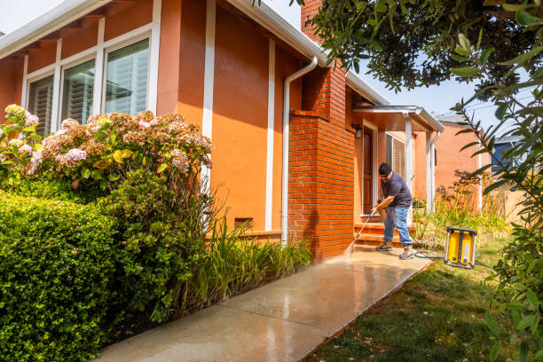 Best Residential Pressure Washing Services  in Wood Dale, IL