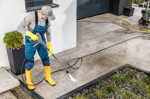Deck Cleaning Services in Wood Dale, IL