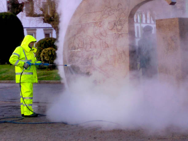 Roof Power Washing Services in Wood Dale, IL
