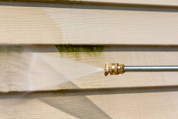 Best Pressure Washing Company Near Me  in Wood Dale, IL