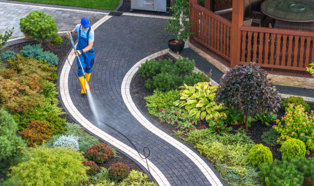 Best Pressure Washing Company Near Me  in Wood Dale, IL